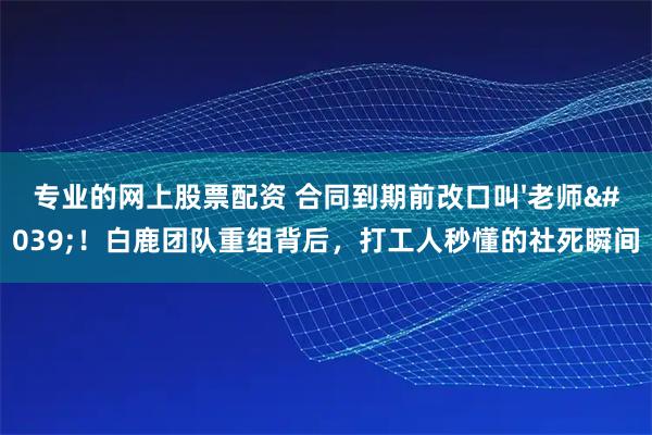 专业的网上股票配资 合同到期前改口叫'老师'！白鹿团队重组背后，打工人秒懂的社死瞬间